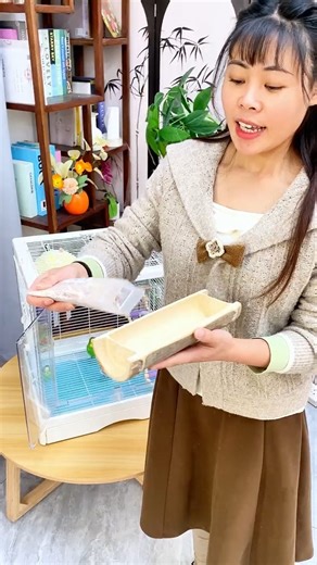 I gave my parrot some crunchy sticks, and the little bird absolutely loves them! They're delicious,