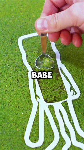 Text Story: A Long Video Journey