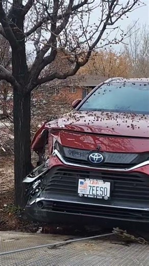 Flatbed towing recovery today another distracted driver #phonesdown #distracted #driving