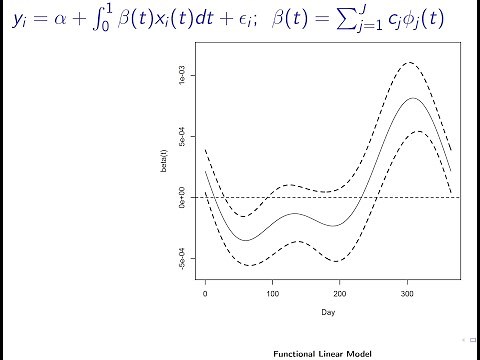 Demo for Estimating Scalar-on-Function Linear Model using R