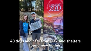 1.3K views · 65 reactions | Our "Clear The Shelters" Pet Adoption Day...