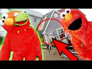 Elmo and Kermit The Frogs BIGGEST FREAK OUT EVER! (Gamdias Review)