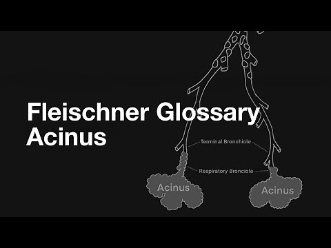 Fleischner Glossary - Acinus