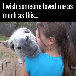 4.4M views · 3.8K reactions | What true love looks and sounds like.. Tag someone who loves you this much  | UNILAD | Facebook