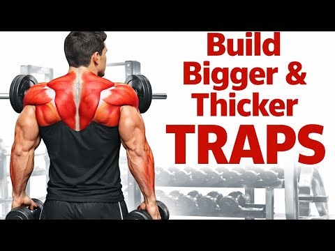 Why Your Traps Are Not Growing? (Fix This Now!) 😳