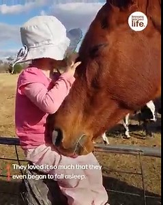 2.4M views · 14K reactions | What a wholesome friendship 梁 | Lessons Learned In Life | Facebook