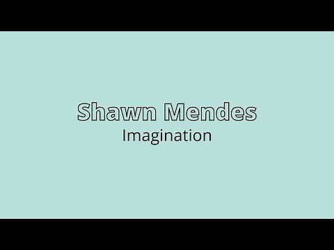 Shawn Mendes - Imagination 1 HOUR