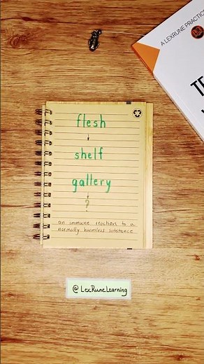 An Anagram Word Game for English Learners (gallery)