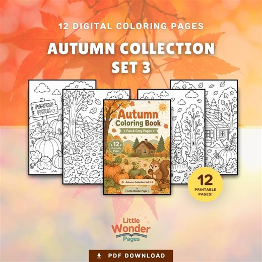 Autumn Coloring Book Printable PDF | Autumn Collection Set 3 | Cute Kawaii Fall Pages | Instant Download - Etsy