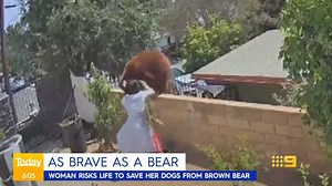43K views · 406 reactions | How far would you go to save your dog's life?  #WATCH Home security vision of the moment a brave woman goes head-to-head with a brown bear who was attacking her dogs. At one point she even pushes the bear over the wall! #9Today | TODAY | Facebook