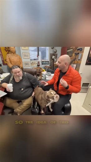 Some trucks are made to drive. Others are made to start problems. 😈 👉 Full story on Rust Bros (Official) YouTube Barriere Auto & Truck Tow #rustbros #rustvalleyrestorers #mikehall #wildmangarage #averyshoaf #carproject #classiccars #carrestoration #MattShewchuk | Rust Bros Restorations