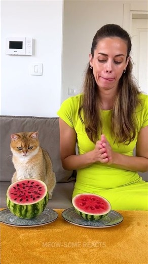 Unexpected Watermelon Mastermind: Cat's Hilarious Smart Move!