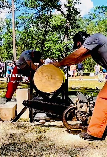 Treework on TikTok