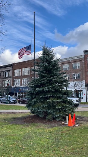 43K views · 788 reactions | Petoskey's new downtown Christmas tree is in place this afternoon, November 13, 2025. It's a transplant, about 15-20 feet tall, soon to be adorned with holiday decor. Crews cut down the old 35ish foot tree yesterday, which had lost health in its upper limbs in recent years. Check Downtown Petoskey for more info. | Petoskey News Scanner | Facebook