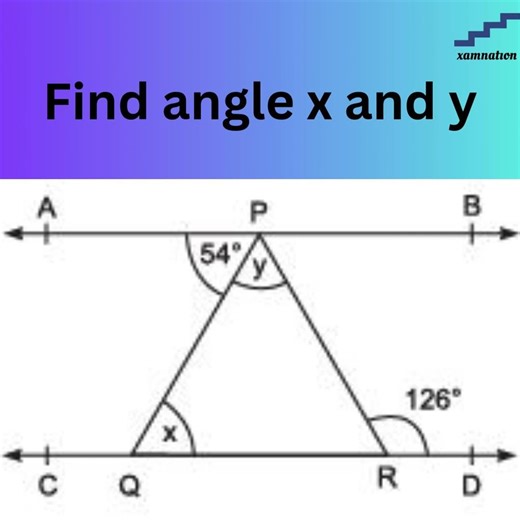 Lines and Angles Question | Alternate angles | Maths