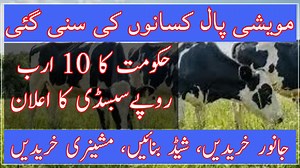 1.5K views · 29 reactions | حکومت کا 10ارب روپے سبسڈی کا اعلان Subsidy for livestock farmers| Dairy farming|Livestock card| big announcement for farmer| kisan news #kisannewstv #agriculture #livestock This program is about the subsidy scheme for livestock farmers..see program for details.............................. | Kisan News TV | Facebook