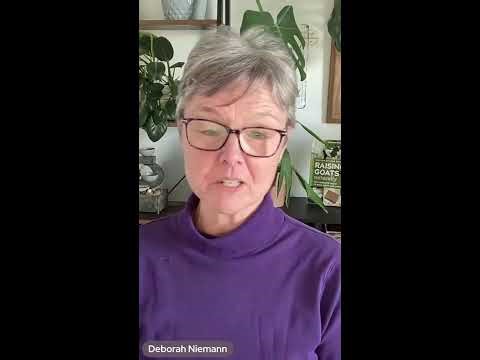 Do nursing goats have more mastitis? 📱