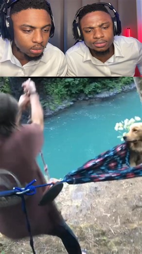 2.3M views · 342 reactions | Dogs are too loyal  tmaagphotography | Doubledstwins | Facebook