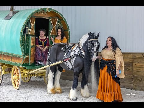 GYPSY VANNER 25th ANNIVERSARY CELEBRATION-OCALA,FLORIDA AT THE WORLD EQUESTRIAN CENTER