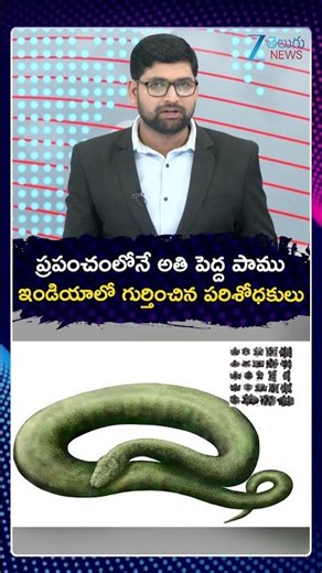 Largest Snake Ever Found in India! | Vasuki Snake Found! | పెద్ద పాము ఇండియాలో గుర్తించిన పరిశోధకులు