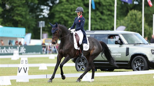 A future force, an arrogant veteran and a five-star winner in top 10 of Bramham dressage
