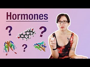 Gender basics: How sex hormones work, and their use by trans people (Gender Analysis)