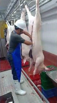 pork evisceration process
