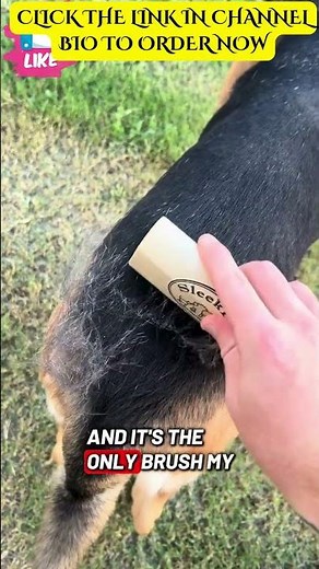 Best Pet Grooming Dog Brush For Shedding That Pet Owners Need [Must-Have]