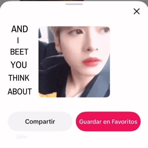 Lee Know y su sticker en todo momento