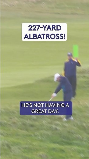 A VERY lucky ALBATROSS? 🤩