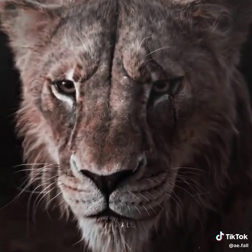 The Untold Story of Scar from The Lion King