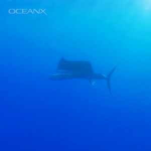 11K views · 1.3K reactions | Cruising through the first week of 2023...