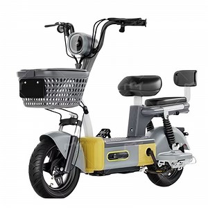 [Hot Item] Ebicycle 2 Wheel Open 350W Long Range 14 Inch 48V Ebike