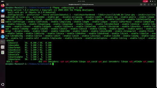 ubuntu 24.10 setup libvpx