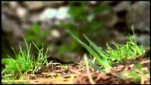 Office Coffee Consumption Monitor Made with Raspberry Pi @Raspbery_Pi #piday #raspberrypi