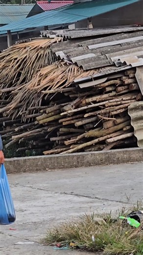 highland fishing skills, single hook fishing on the lake shore, harvesting fish for sale #highlandboy #highlandboyfishing #fishingtechniques | Voga Gi | Facebook