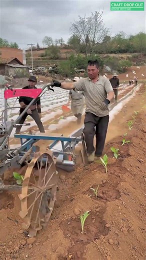 🌱🔧 Plastic Mulch Laying Machine for Quick Field Preparation