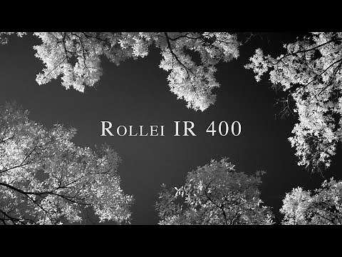 The Incomplete Guide to Rollei Infrared 400
