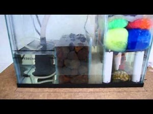 5.5 Gallon Nano Wet/Dry Sump