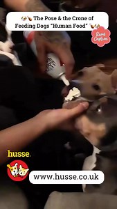 4.6K reactions · 401 shares |  The Pose & the Crone of Feeding Dogs...