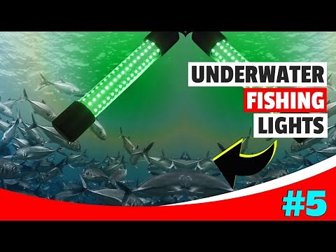The 5 Best Underwater Fishing Lights For 2025 | Underwater Led Fishing Light