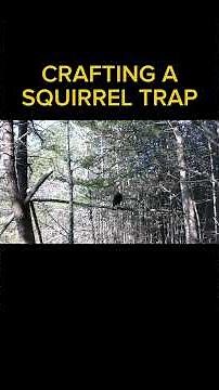 DIY SQUIRREL TRAPS - RUNNING POLES | #survival #diy