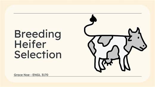Breeding Heifer Selection