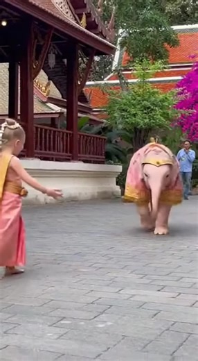 วิดีโอของ dreamcast2006 (@dreamcast2006) พร้อมเพลง เสียงต้นฉบับ - dreamcast2006