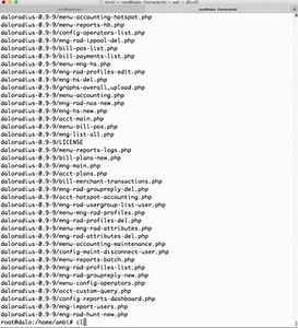 OpenVPN Access Server with remote RADIUS authentication