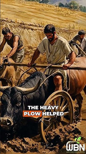 Medieval Farming Tools How Innovation Transformed Agriculture