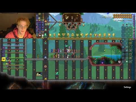 Terraria Master mode mage