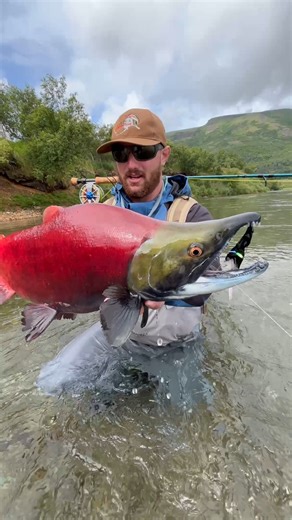 I Caught a FIRE-RED Salmon! #fishing #salmon #red #fish #color | Ryan Iz Fishing