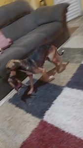 1.3M views · 10K reactions | ❤️ Olha Márcia o que eu fiz, agora...