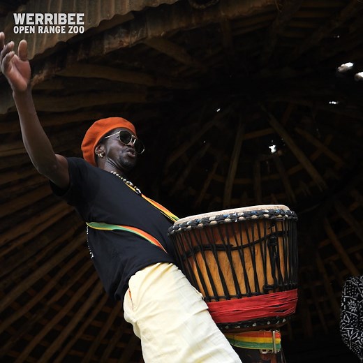 Sunset Safari is BACK for another bumper season at Werribee Open Range Zoo! Book your tickets now at zoo.org.au/werribee and get ready for an adventure on the savannah! 🦒🚌 | Zoos Victoria